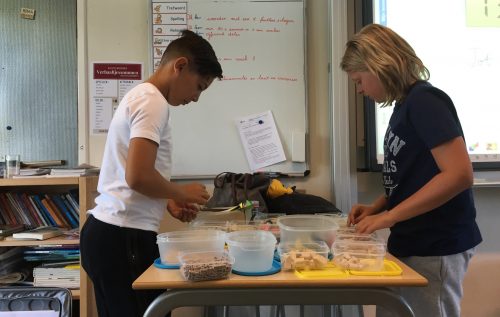 Waalse School Proefles groep 7b