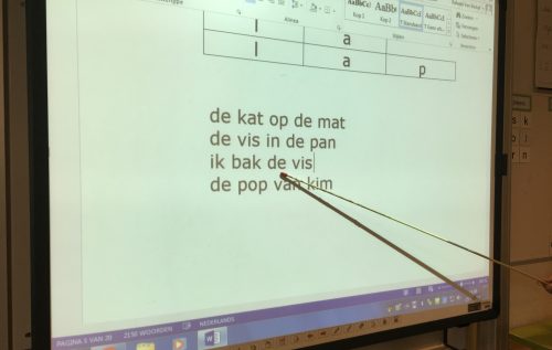 Waalse School Groep 3 leest na 5 dagen al zinnen!