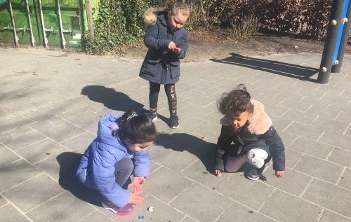 Waalse School Aan de slag met ijsblokjes in groep 2C
