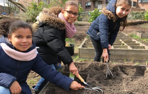 Waalse School Wormenbakken maken in groep 4C