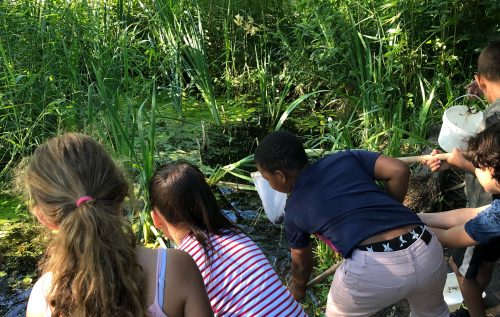 Waalse School Groep 4a leert in de natuur