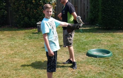 Waalse School Groep 8 maakt kennis met wilde dieren