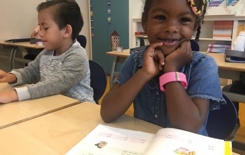 Waalse School Leren Lezen