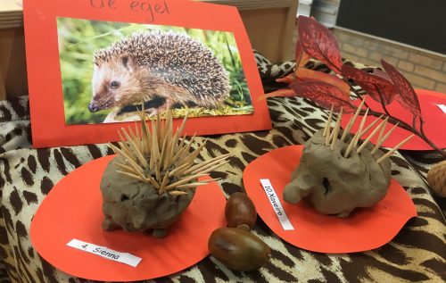 Waalse School Groep 1a maakt een herfst tafel met egels