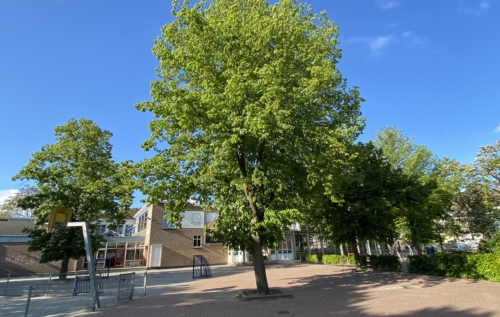 Waalse School Welkom in schooljaar 2020-2021!