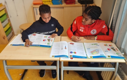 Waalse School Groep 7b leert cirkeldiagrammen tekenen