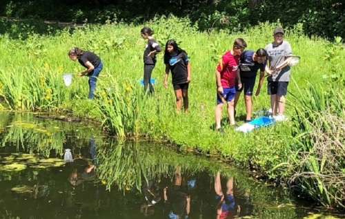 Waalse School Natuurproject groep 8a