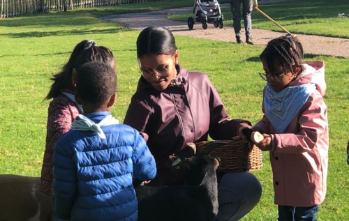 Waalse School Groep 1 en 2 naar de kinderboerderij