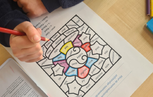 Waalse School Groep 6b leert zelfstandig naamwoorden in het meervoud zetten
