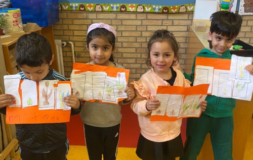 Waalse School Groep 1b leert de cyclus van een bloembol chronologisch weergeven