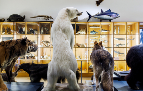 Waalse School Lekker leven!